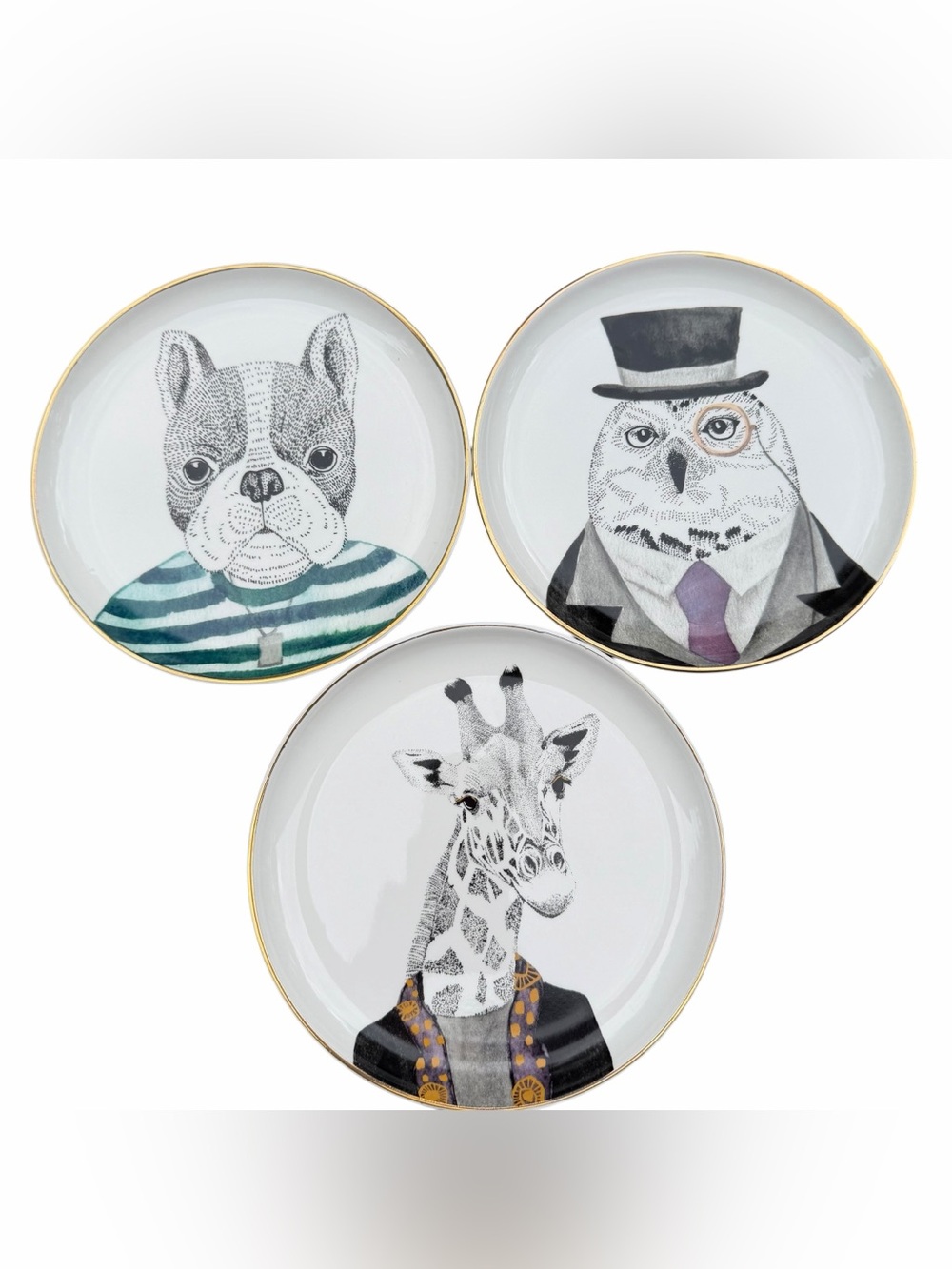 Pier 1 Imports Animal Portrait Plates Set of 3 Dog Owl Giraffe Gold Rim 8”